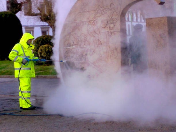 Best Pressure Washing Services Near Me  in Brookmont, MD